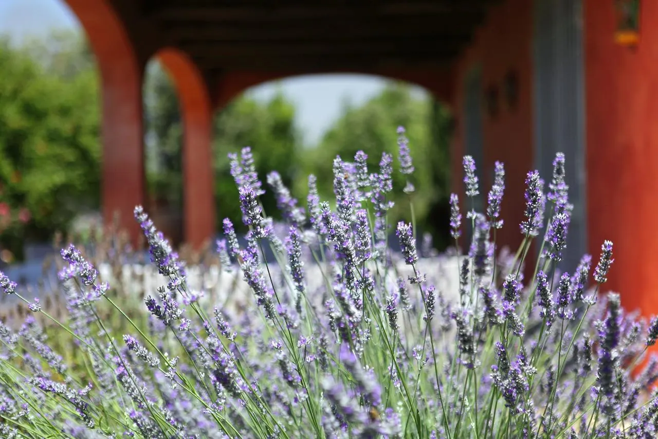 La Capalbiola Hotel Farm stay Capalbio